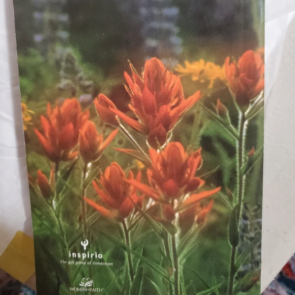 Promises for Women Self Help Book